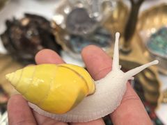 -济南恒隆广场
