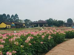 -保利石象湖景区