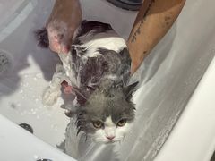 -FAELING PETS美天灵宠物(富力广场店)