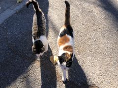 -蟠龙山长城景区