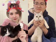 -伟伟宠物医院·CT影像中心·瑞派犬猫综合性门诊(汉口总院)