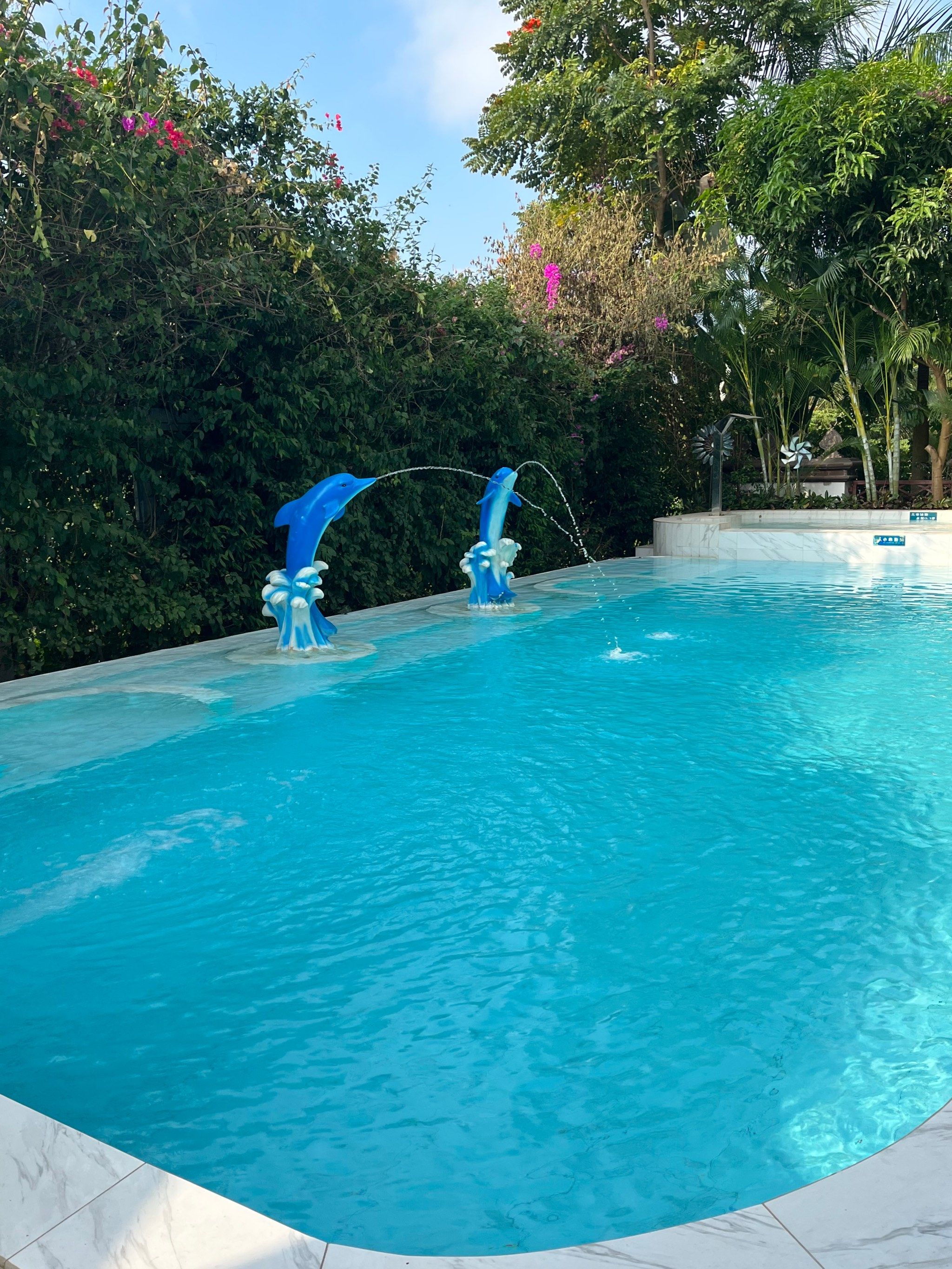 无边泳池的悠闲午后