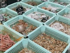 -浩运海鲜·16年专注青岛菜(石老人店)