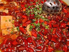 毛血旺-陈麻婆豆腐总店