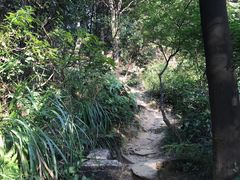 -广州市白云山风景名胜区