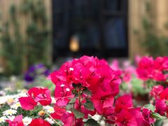 -瓦库茶馆17号(海汇港店)