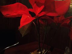 -Pistolera Mexican Cantina女枪手墨西哥餐厅(碧云路店)