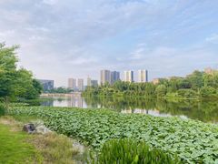 -枫香湖儿童公园