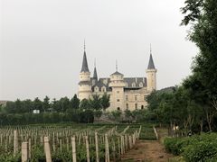 -北京张裕爱斐堡酒庄
