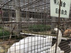 -成都爱之家动物救助中心