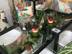 -弗劳尔花艺坊(龙涛店)