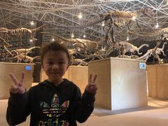 -世界恐龙谷景区