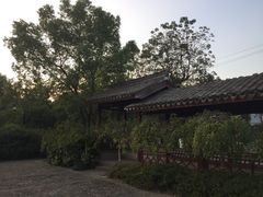 走马楼-走马楼饭庄(慈城古县城店)
