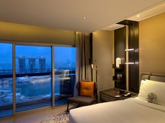 -新加坡瑞士史丹福酒店