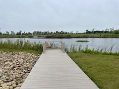 -鹦鹉洲湿地公园