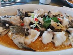 -大门水乡·顺德菜