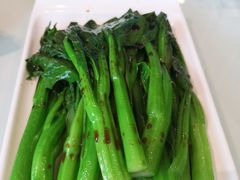 白灼油菜心-粤式早茶希朋喜宴