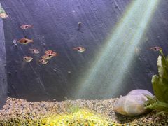-上海海洋水族馆
