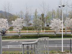 -宝荣鱼馆·临湖之宴(千岛湖店)