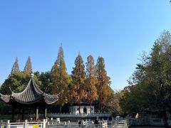 -汇龙潭