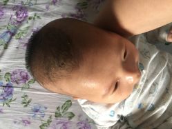 -上海小小宝婴儿理胎发胎毛笔