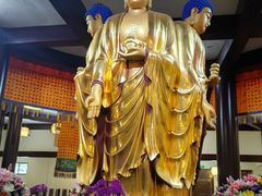 -圆通寺