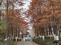 -茅山东方盐湖城景区