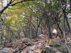 -杭州半山国家森林公园