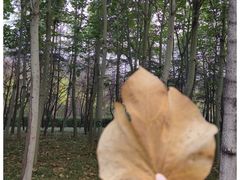 -洛阳市隋唐城遗址植物园