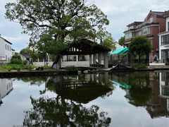 -同里国家湿地公园