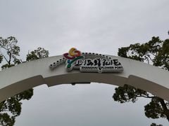 -上海鲜花港