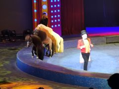 -珠海横琴长隆《卡卡虎奇遇记》