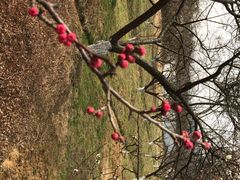 iphone_upload_pic-林屋洞景区