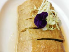 -唐阁海景中餐厅·早茶·粤菜•生日聚餐(海口朗廷酒店)