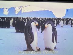 -国家地理探险家中心