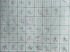-赵汝飞练字硬笔书法(静安大融城校区)