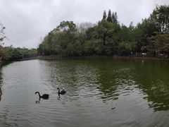 -广东茂名森林公园