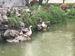 -宏泰园蔬果专业合作社