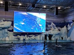 -福州罗源湾海洋世界旅游区