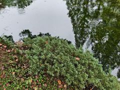 -无锡梅园公园