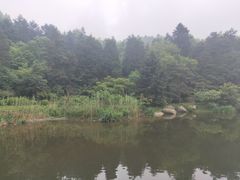 -庐山风景区花径公园