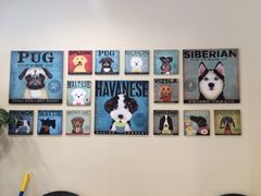 -多卡布奇宠物生活馆(上林世家店)