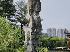 -广州神农草堂中医药博物馆