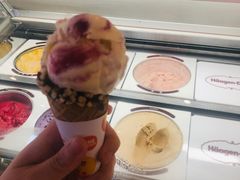 -哈根达斯(绍兴银泰店)