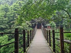-凤栖山