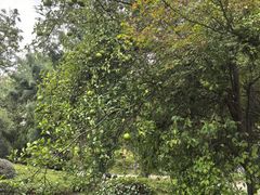 -南京特殊教育师范学院(燕子矶校区)