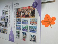 -DEMO黛慕蛋糕