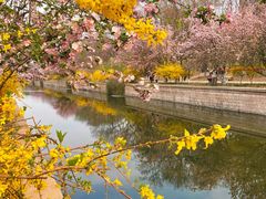 -海棠花溪(元大都城垣遗址公园)