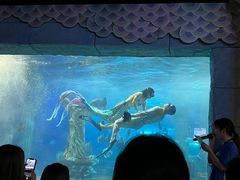 -梦幻海洋王国(吾悦广场张家港店)