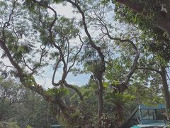 -可伦宾野生动物保护区